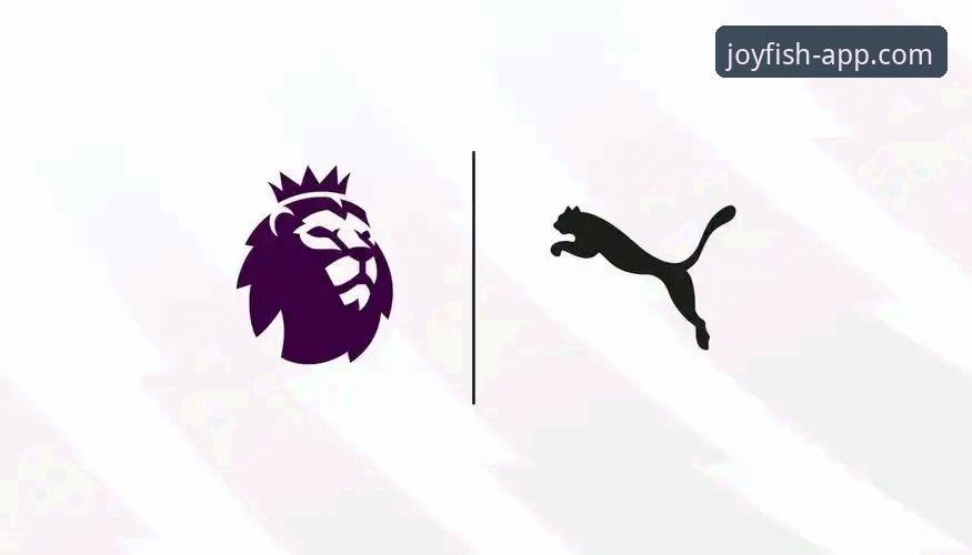 乐鱼体育APP 2026版实用指南：从官方下载到核心功能精通